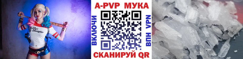 A-PVP СК Щёкино
