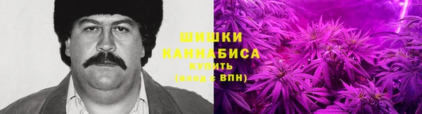 прущие грибы Балабаново