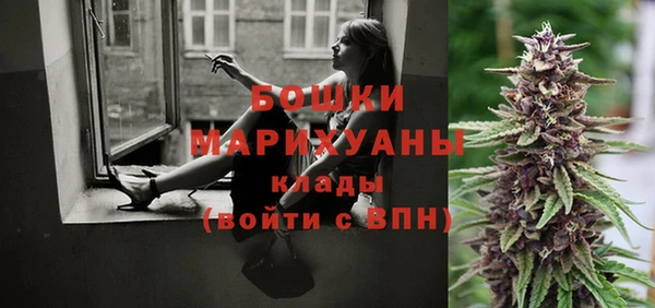 прущие грибы Балабаново