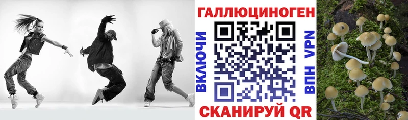 Псилоцибиновые грибы GOLDEN TEACHER  Щёкино 